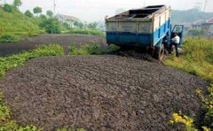 ���2016������̎��̎�����L��ˣ��D�ģ�