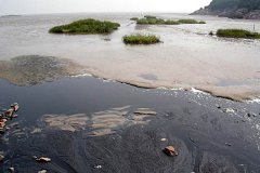 《關于加快推進水生態文明建設工作的意見》明確及要求 《關于加快推進水生態文明建設工作的意見》明確及要求