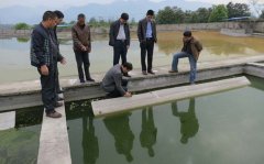 �h(hu��n)�����(xi��ng)�Y��Ͷ��޴�h(hu��n)����(w��n)�}�q��