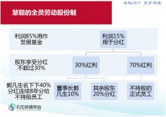 慧聰、正泰、TCL股權激勵典型案例分析 慧聰、正泰、TCL股權激勵典型案例分析