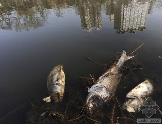 �Ї�(gu��)ˮ��Ⱦ��(w��n)�}�܇�(y��n)�� ������(ji��n)�ο��ׂ�(g��)����