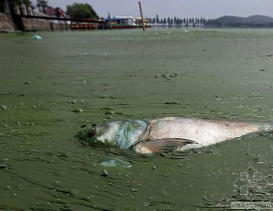 �Ї�(gu��)ˮ��Ⱦ��(w��n)�}�܇�(y��n)�� ������(ji��n)�ο��ׂ�(g��)����