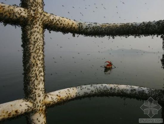 �Ї�(gu��)ˮ��Ⱦ��(w��n)�}�܇�(y��n)�� ������(ji��n)�ο��ׂ�(g��)����