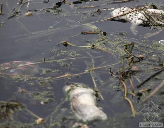 �Ї�(gu��)ˮ��Ⱦ��(w��n)�}�܇�(y��n)�� ������(ji��n)�ο��ׂ�(g��)����