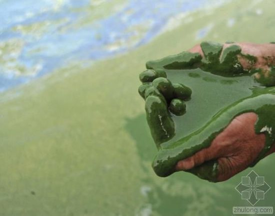 �Ї�(gu��)ˮ��Ⱦ��(w��n)�}�܇�(y��n)�� ������(ji��n)�ο��ׂ�(g��)����