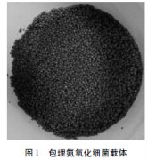 �ϳɰ����I(y��)�Uˮ���̎��